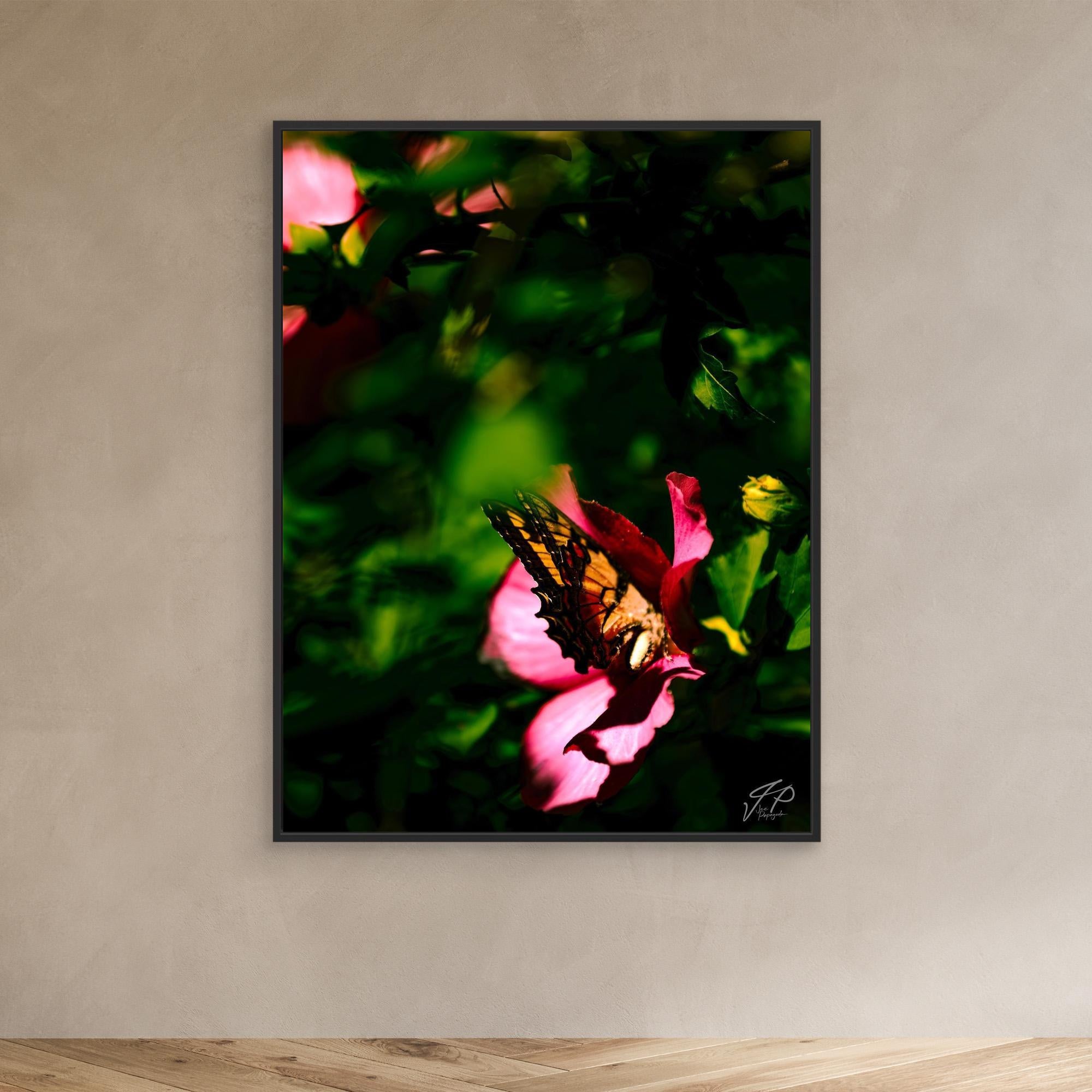 A butterfly with orange and black wings perches on a vibrant pink flower, surrounded by green foliage.
