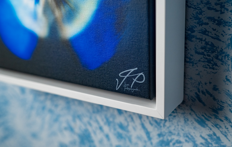 Close-up of a framed artwork corner, showing a blue butterfly print, artist’s signature, and textured wall.