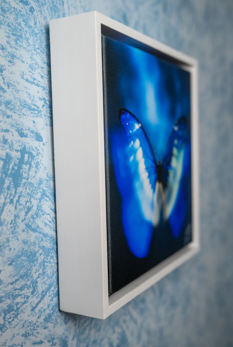 Framed artwork of a blue butterfly on a blue textured wall, viewed from a side angle.
