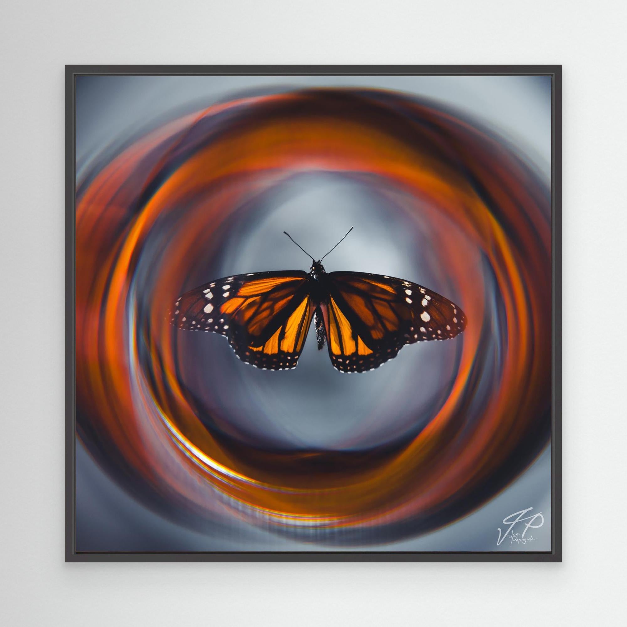A canvas print of a monarch butterfly with a circular orange and gray background, framed in black.