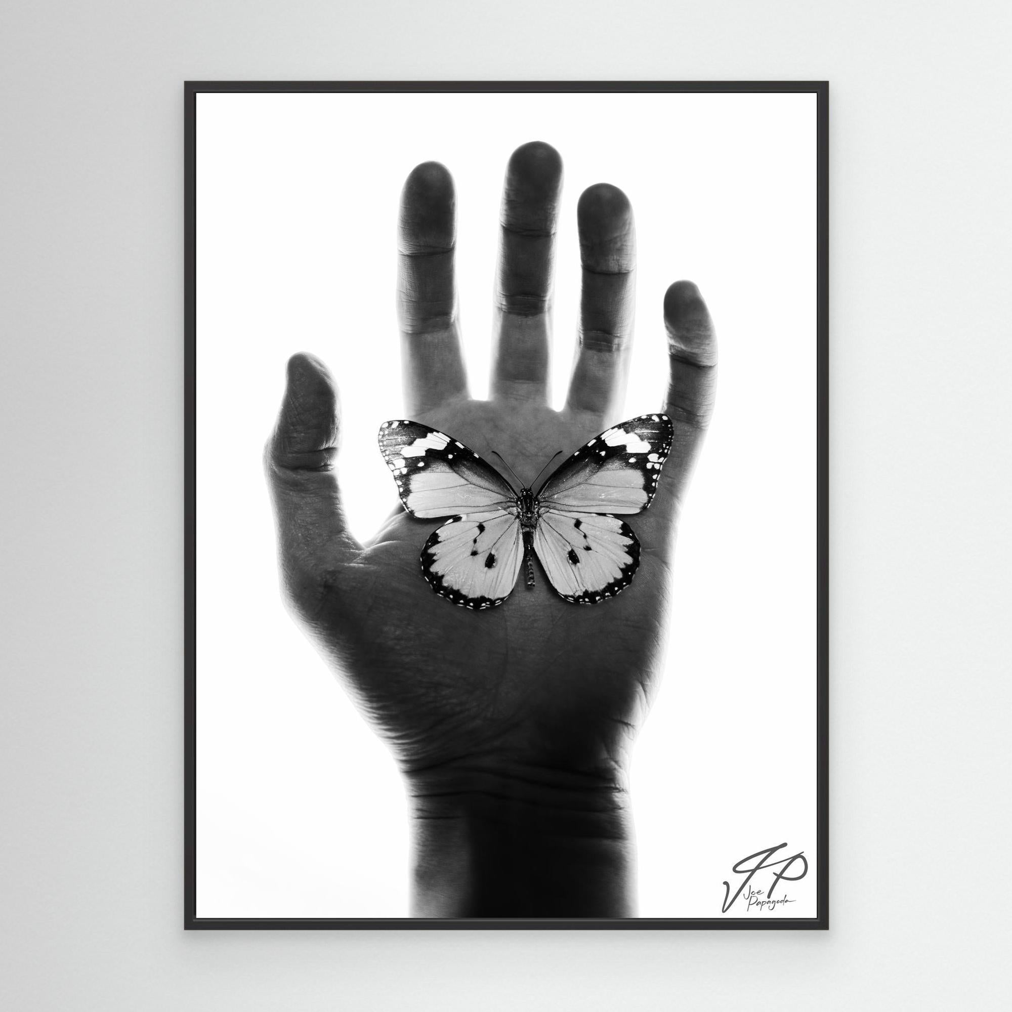 Black and white photograph of an open hand with a butterfly resting on the palm, framed against a white background.