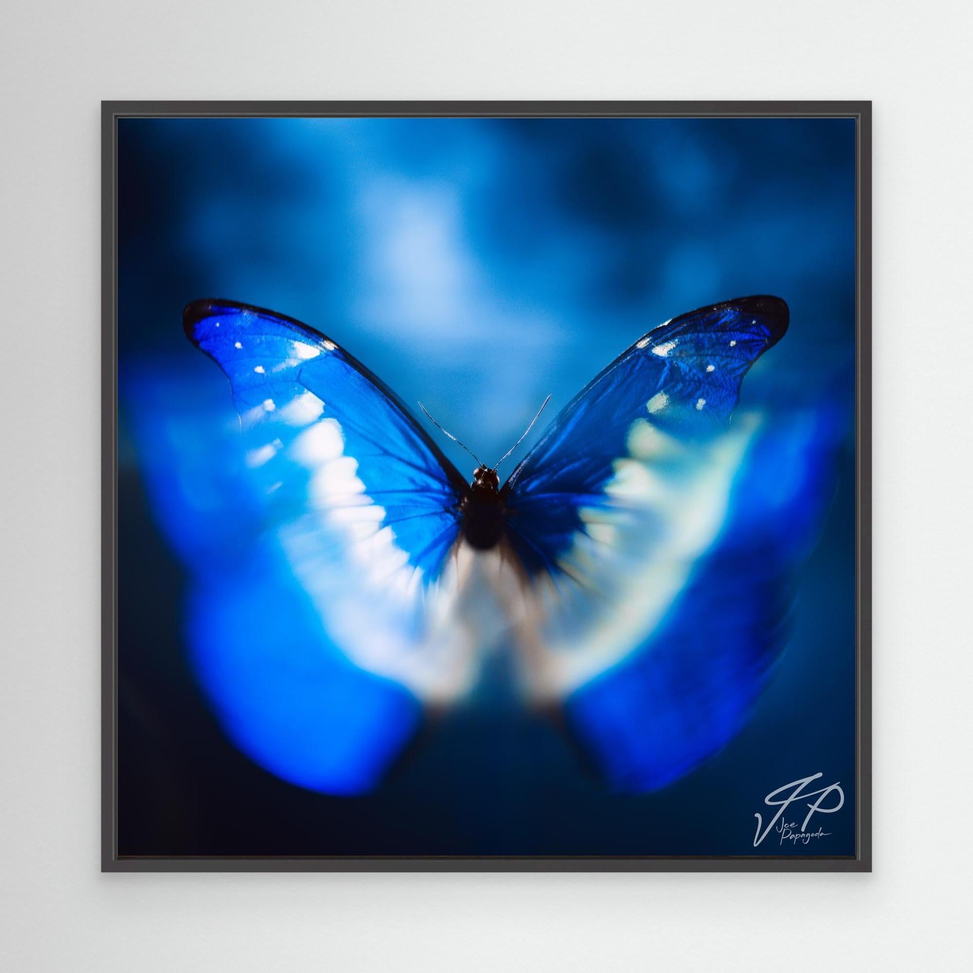 Close-up photograph of a blue butterfly with blurred wings, set against a soft blue background.