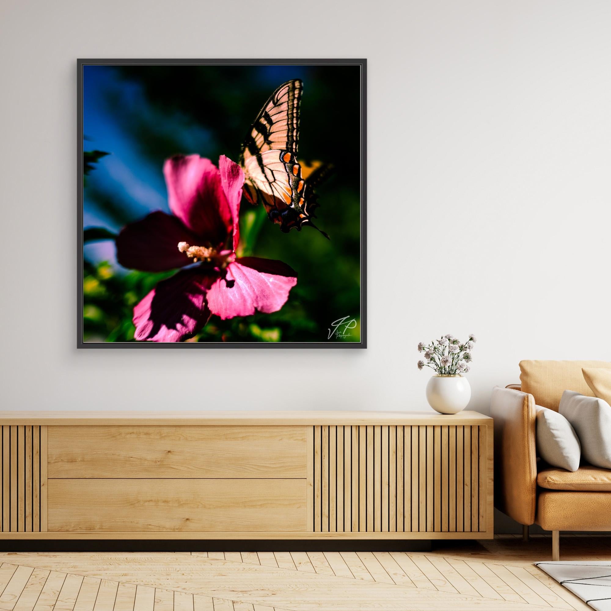 Framed photo of a butterfly on a pink flower, beside brown leather chair and small geometric plant pot.