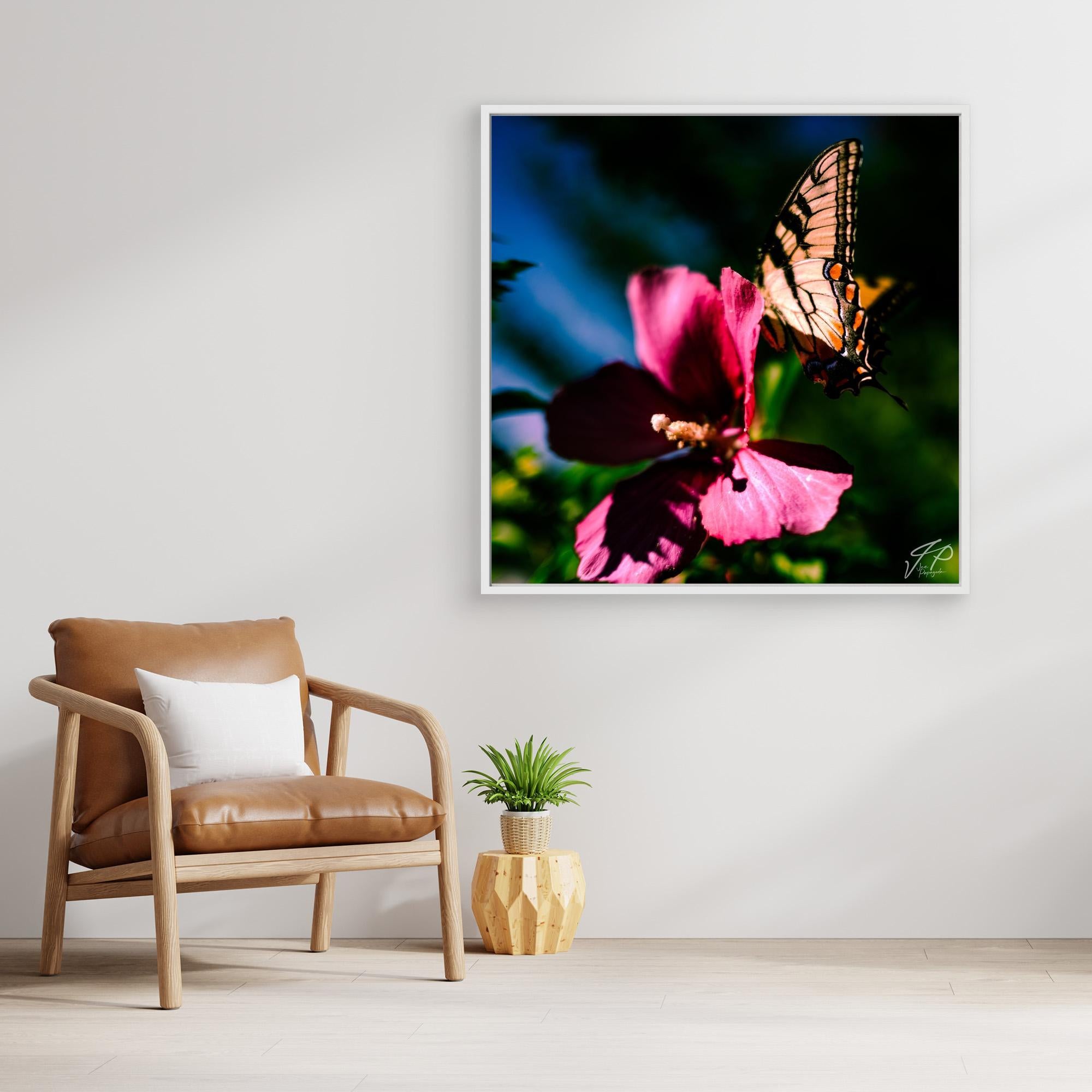Framed photo of a butterfly on a pink flower, beside brown leather chair and small geometric plant pot.