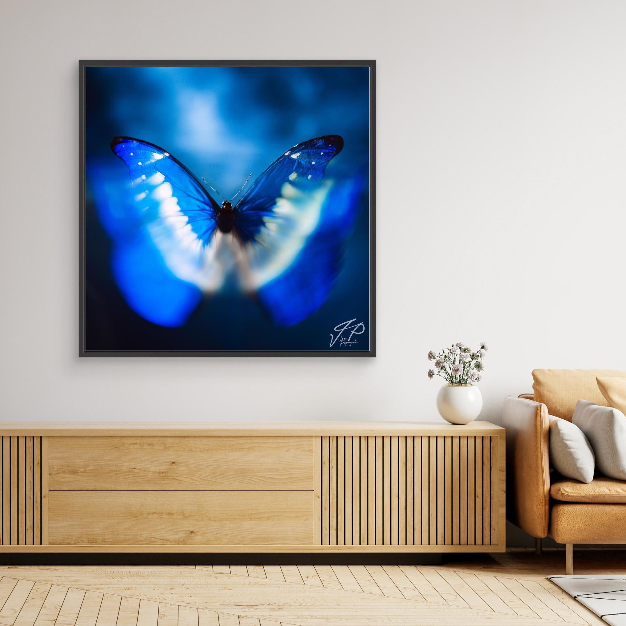 Blue butterfly photography with blurred wings in black frame above wooden console, white vase, and beige sofa.