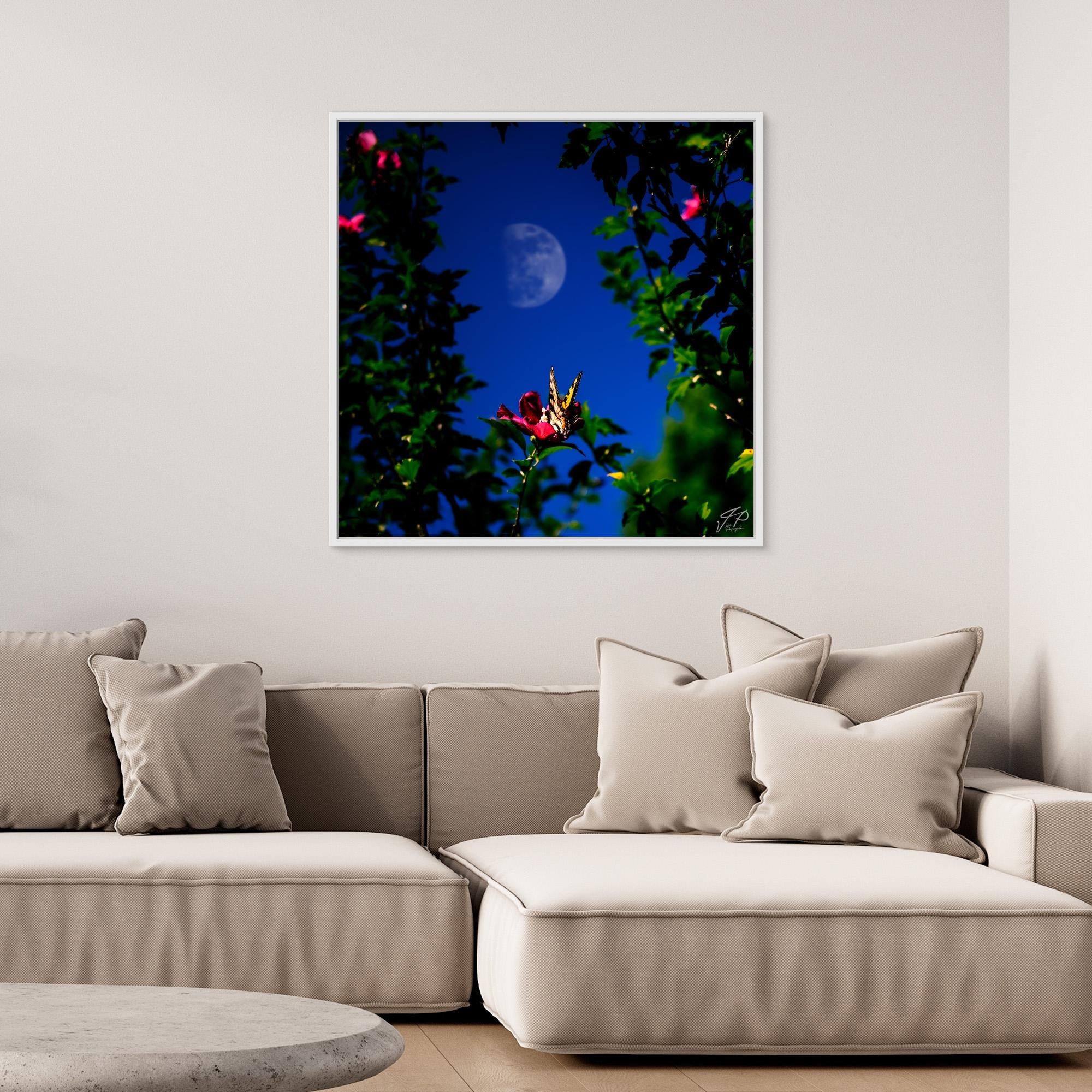 Framed artwork of a flower and leaves silhouetted against a blue sky with visible moon.