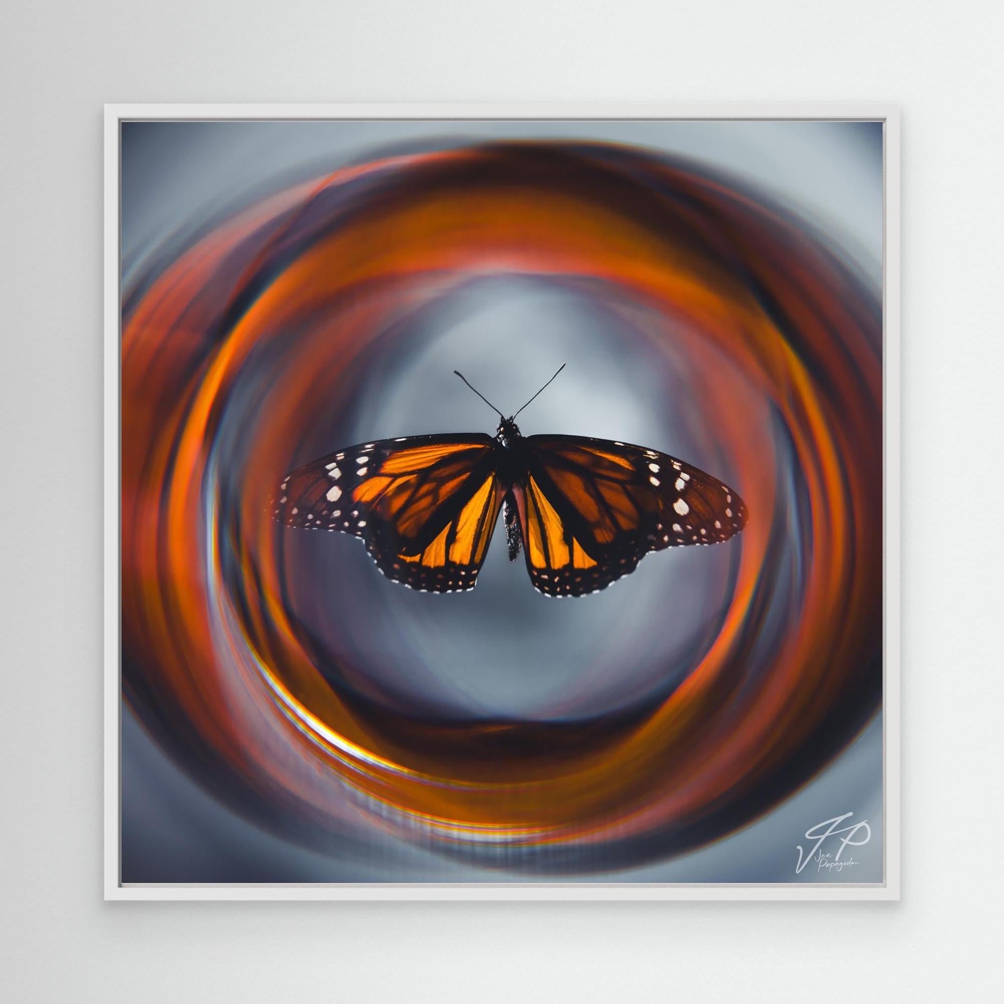 Centered monarch butterfly with orange, black, and white wings, surrounded by abstract swirling orange and gray background.