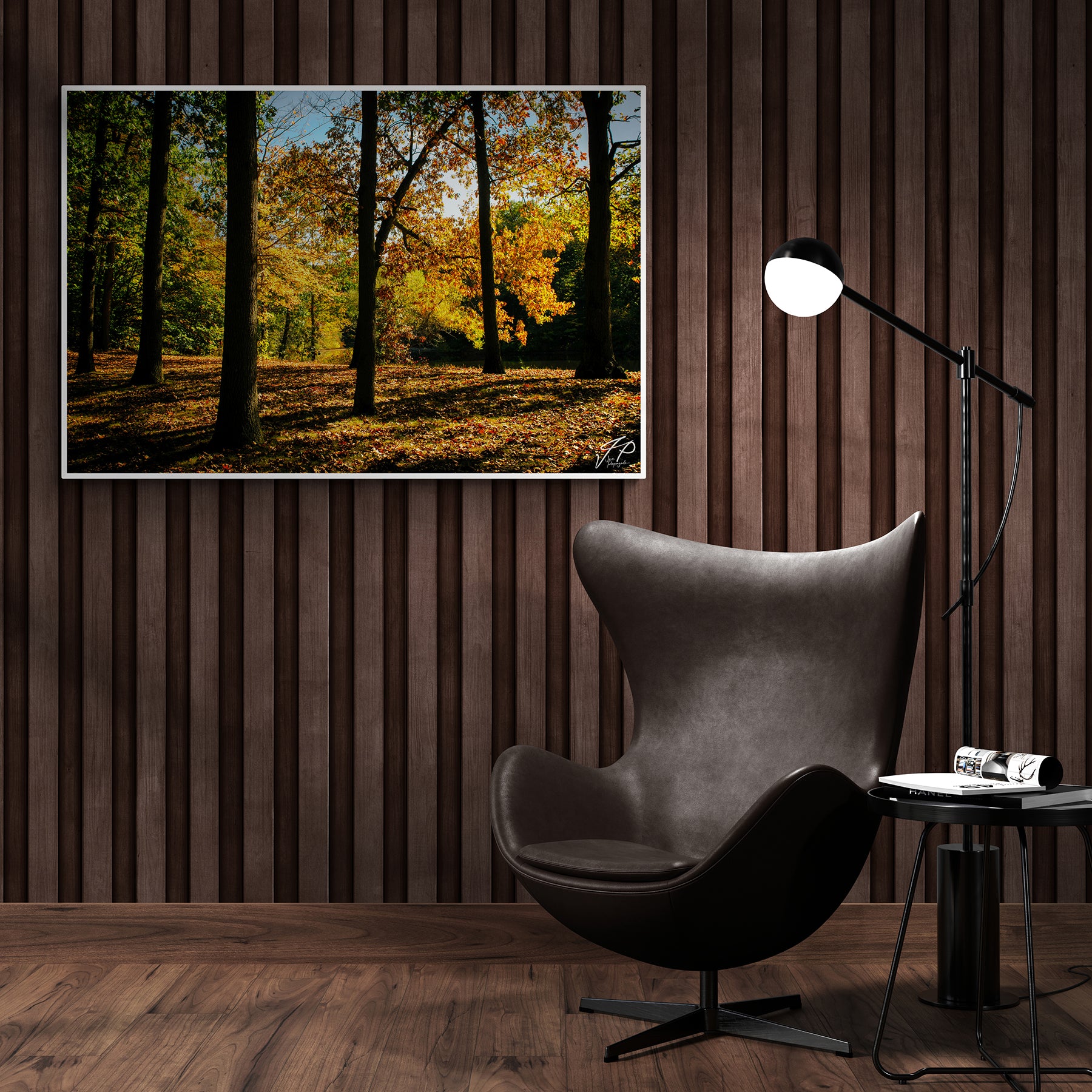 Fall Landscape Photograph
